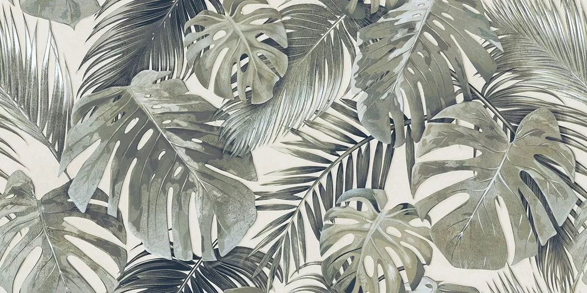 XS Areca Light 60x120